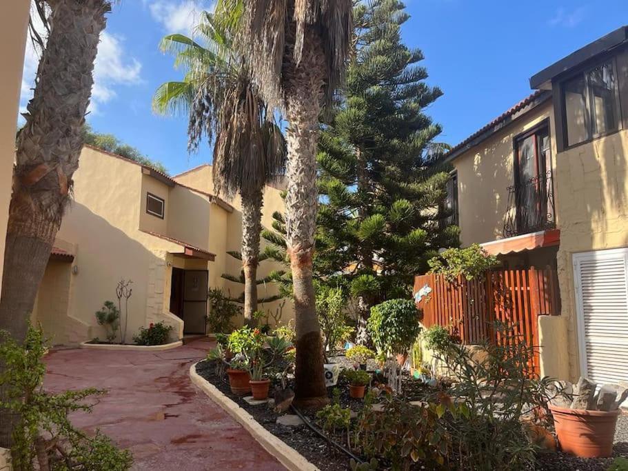 Casa Cactus Paraiso Parque Holandes Exteriér fotografie